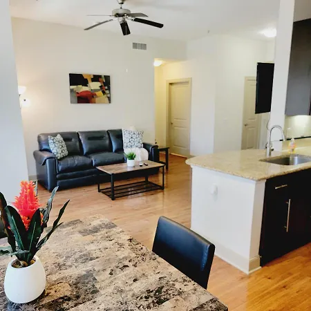 Spacious Pet Friendly 1Br Apt Near Reliant Nrg & Med Center